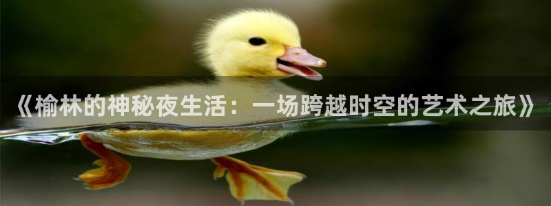庄闲和游戏官网