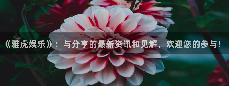 庄闲和游戏官网