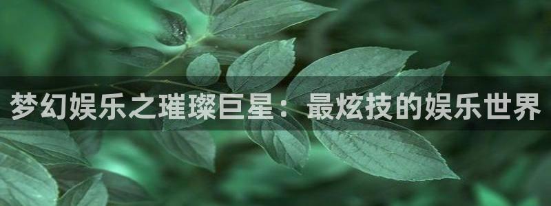 庄闲和游戏官网
