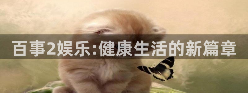 庄闲和游戏官网